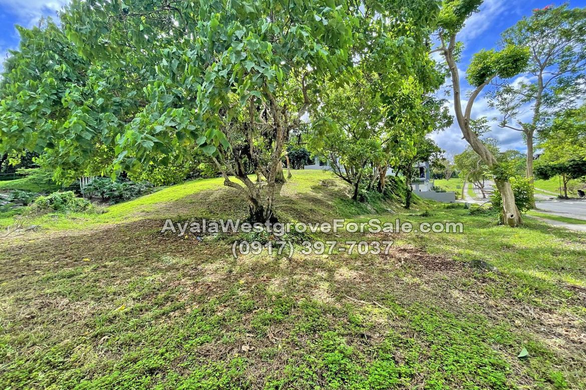 Land for Sale in Ayala Westgrove Heights, Inchican, Silang, Cavite – photo 7