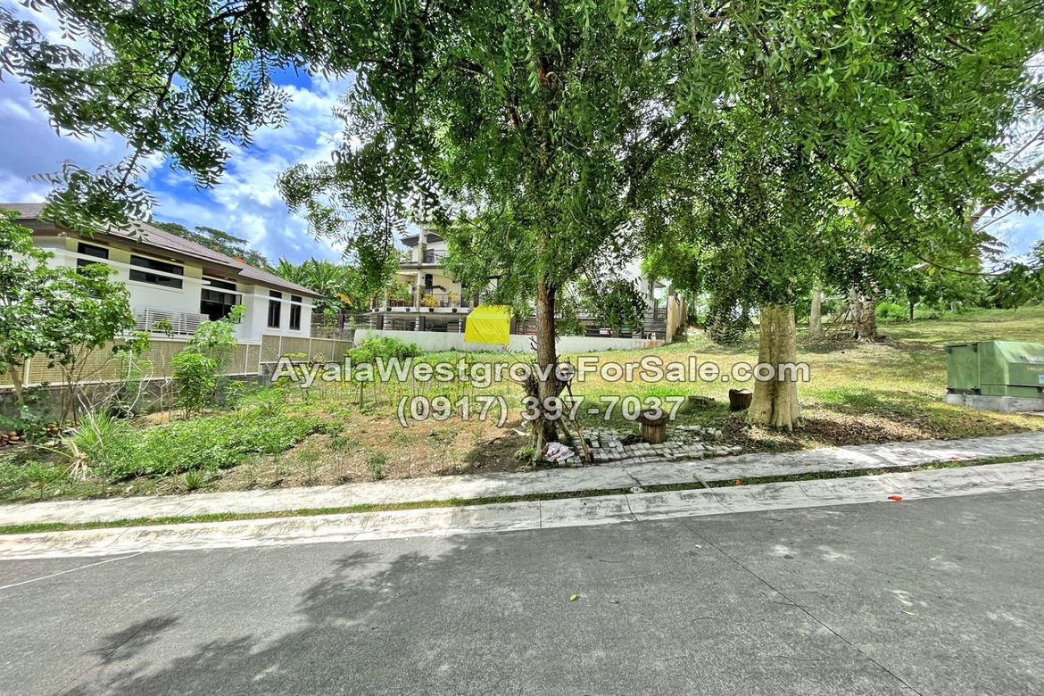 Land for Sale in Ayala Westgrove Heights, Inchican, Silang, Cavite – photo 8