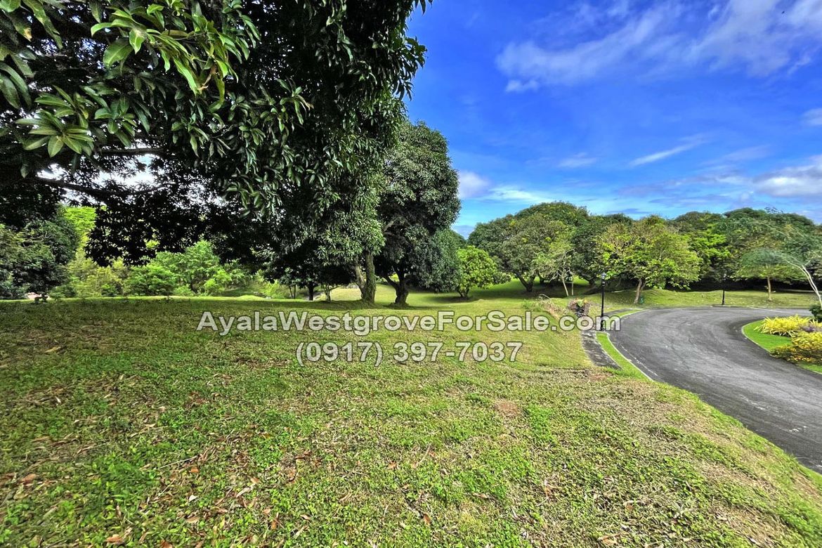 Land for Sale in Ayala Westgrove Heights, Inchican, Silang, Cavite – photo 3