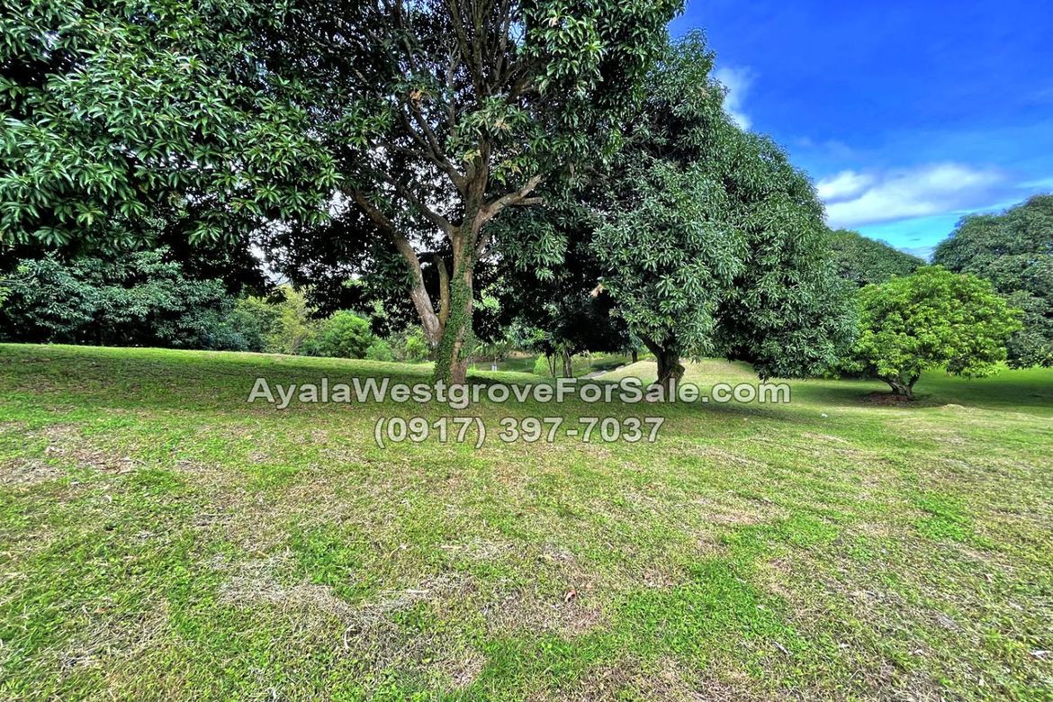 Land for Sale in Ayala Westgrove Heights, Inchican, Silang, Cavite – photo 4