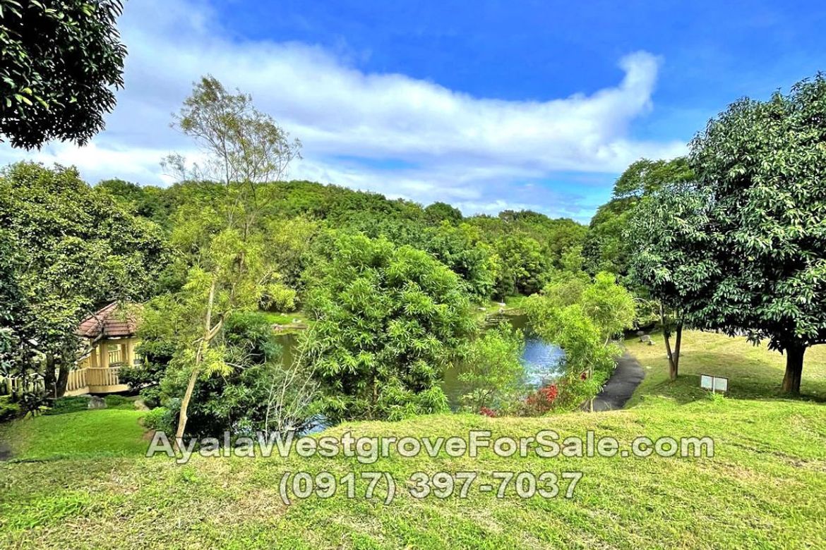 Land for Sale in Ayala Westgrove Heights, Inchican, Silang, Cavite – photo 7