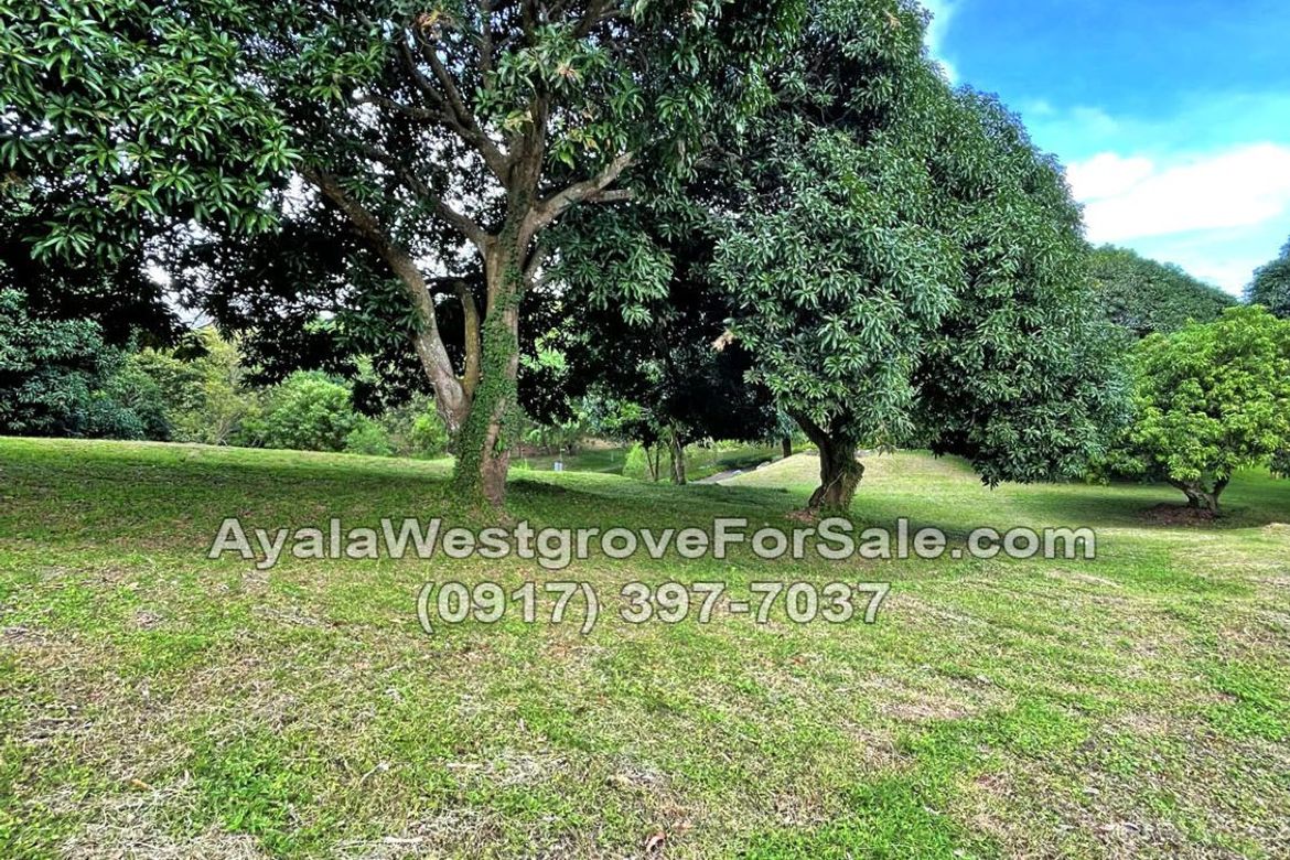 Land for Sale in Ayala Westgrove Heights, Inchican, Silang, Cavite – photo 8
