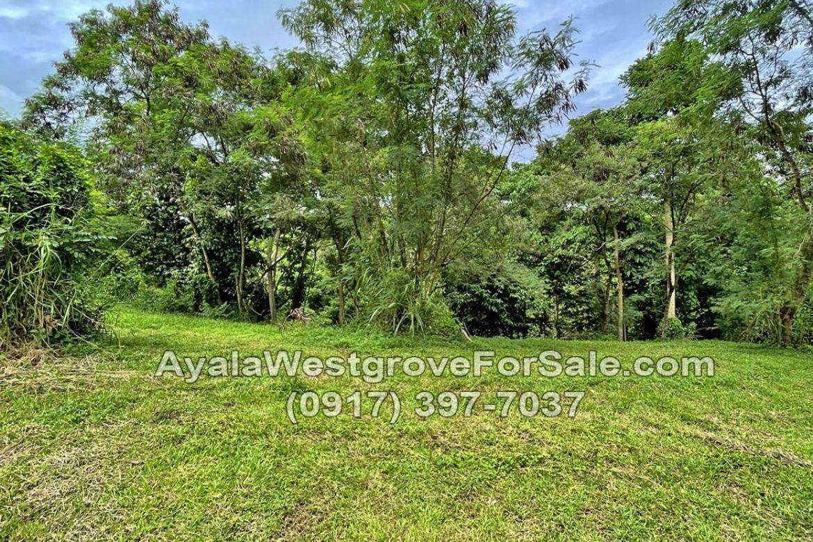 Land for Sale in Ayala Westgrove Heights, Inchican, Silang, Cavite – photo 5