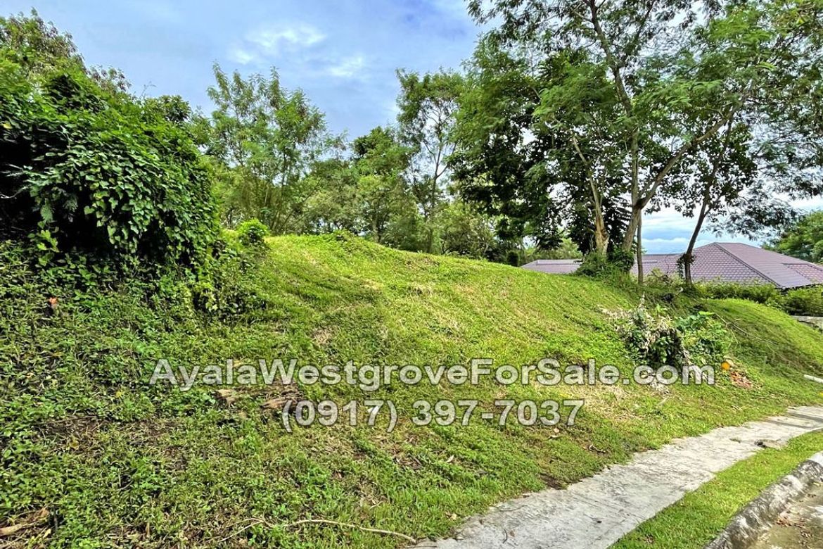 Land for Sale in Ayala Westgrove Heights, Inchican, Silang, Cavite – photo 6
