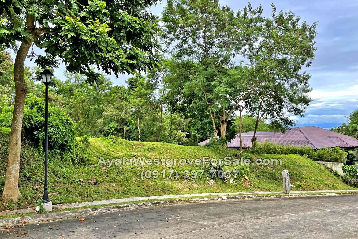 Land for Sale in Ayala Westgrove Heights, Inchican, Silang, Cavite – photo 7