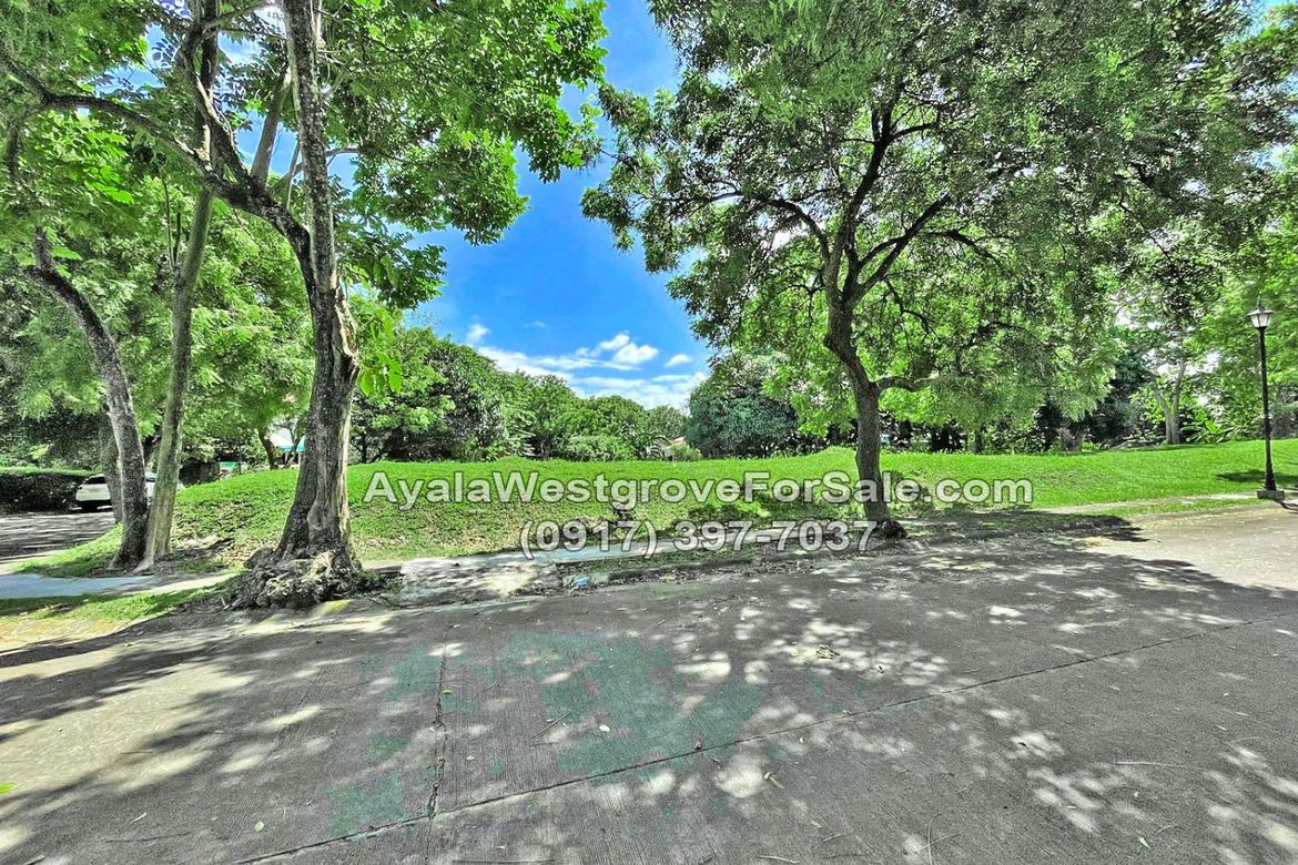 Land for Sale in Ayala Westgrove Heights, Inchican, Silang, Cavite