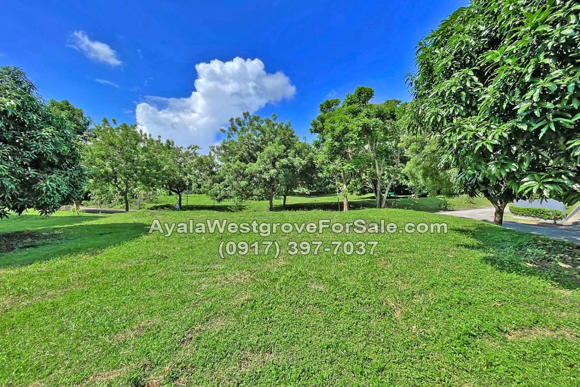 Land for Sale in Ayala Westgrove Heights, Inchican, Silang, Cavite – photo 2