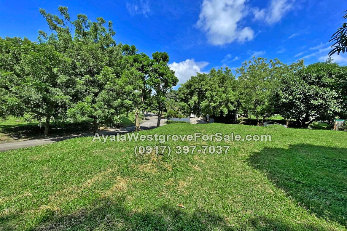 Land for Sale in Ayala Westgrove Heights, Inchican, Silang, Cavite – photo 3