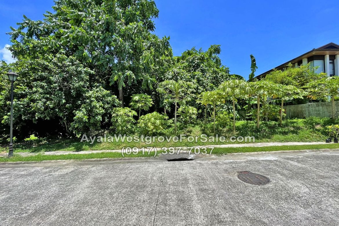 Land for Sale in Ayala Westgrove Heights, Inchican, Silang, Cavite – photo 3