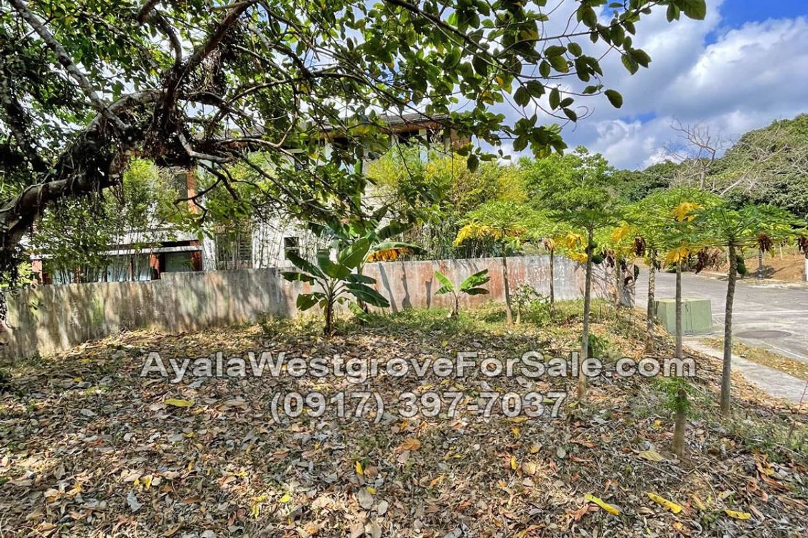 Land for Sale in Ayala Westgrove Heights, Inchican, Silang, Cavite – photo 4
