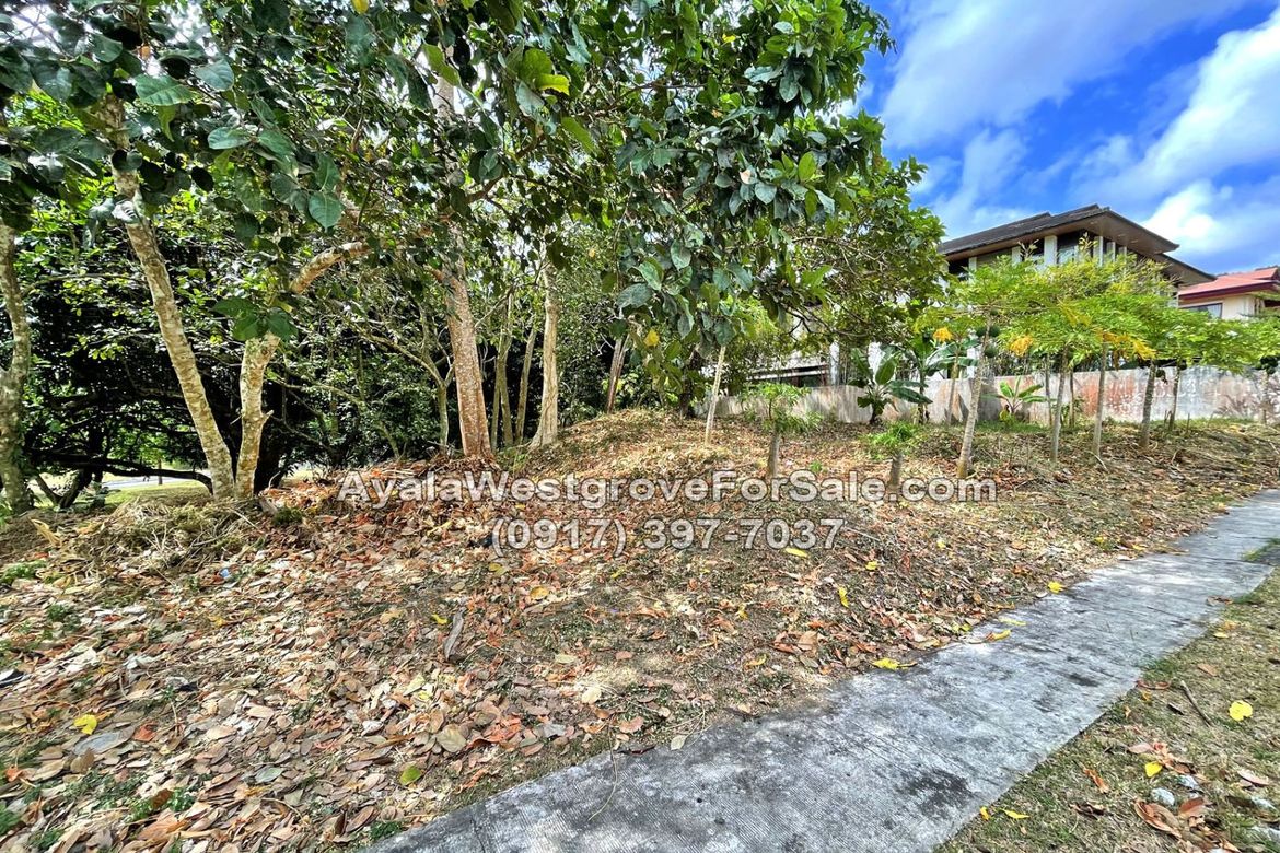 Land for Sale in Ayala Westgrove Heights, Inchican, Silang, Cavite – photo 7