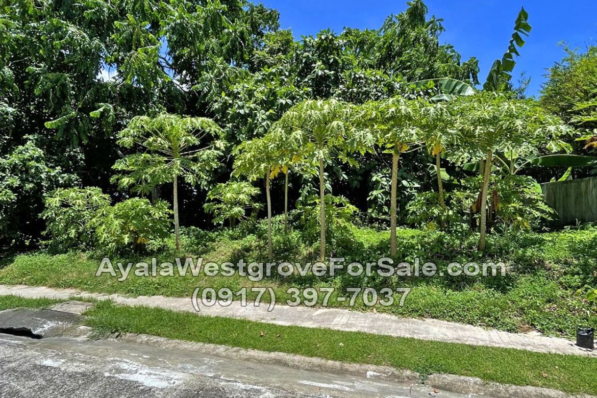 Land for Sale in Ayala Westgrove Heights, Inchican, Silang, Cavite – photo 8