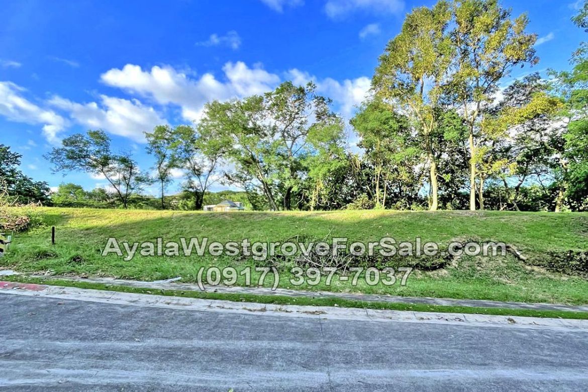 Land for Sale in Ayala Westgrove Heights, Inchican, Silang, Cavite – photo 3