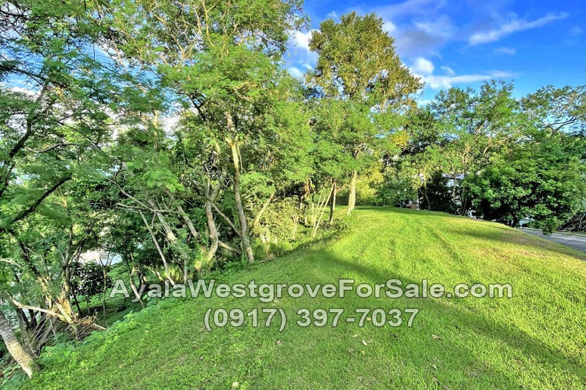 Land for Sale in Ayala Westgrove Heights, Inchican, Silang, Cavite – photo 6