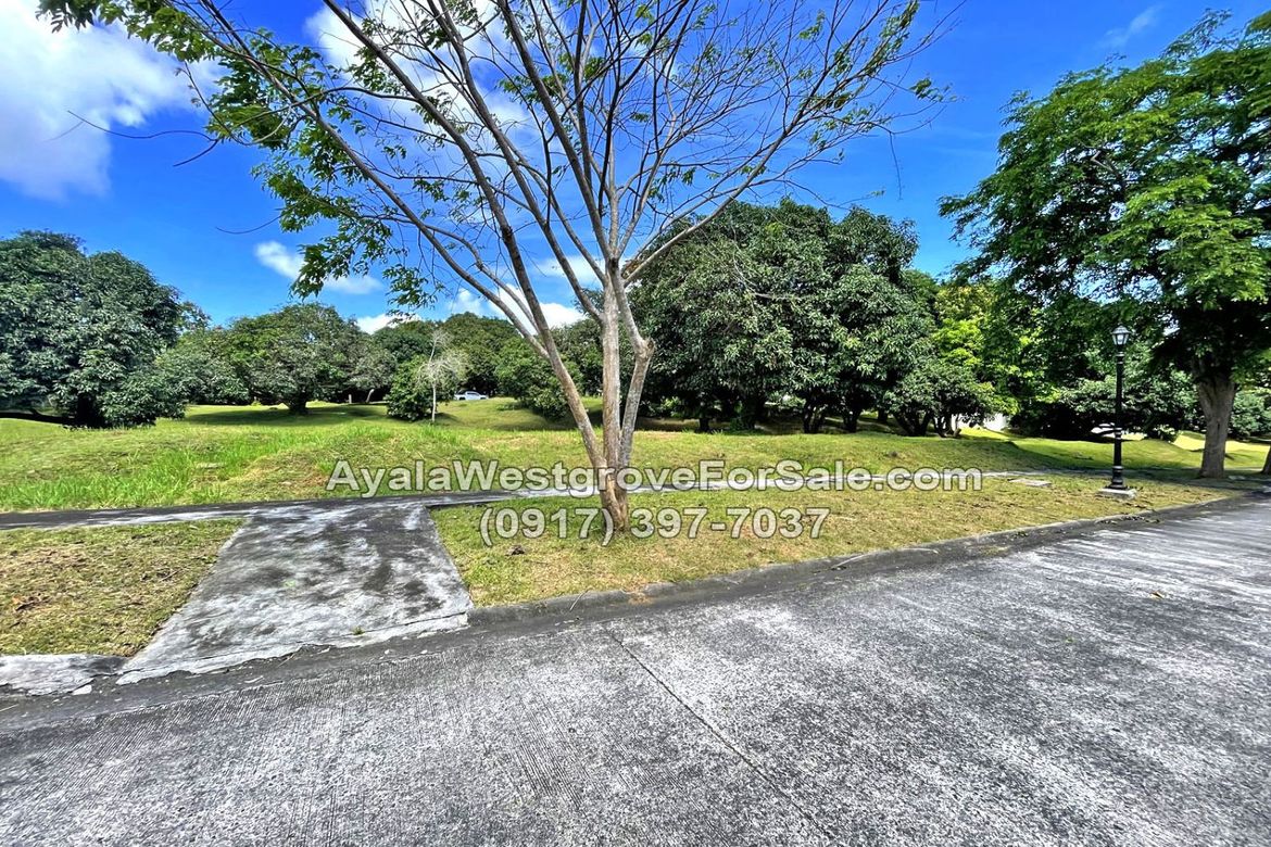 Land for Sale in Ayala Westgrove Heights, Inchican, Silang, Cavite