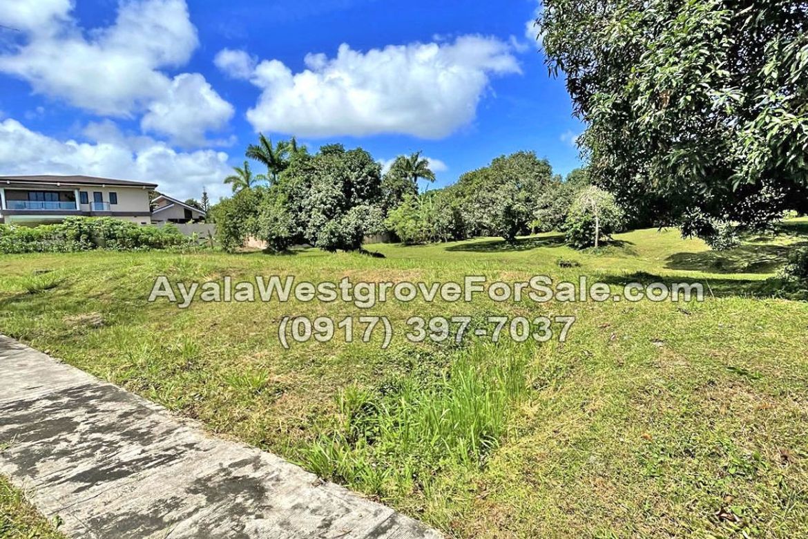 Land for Sale in Ayala Westgrove Heights, Inchican, Silang, Cavite – photo 2