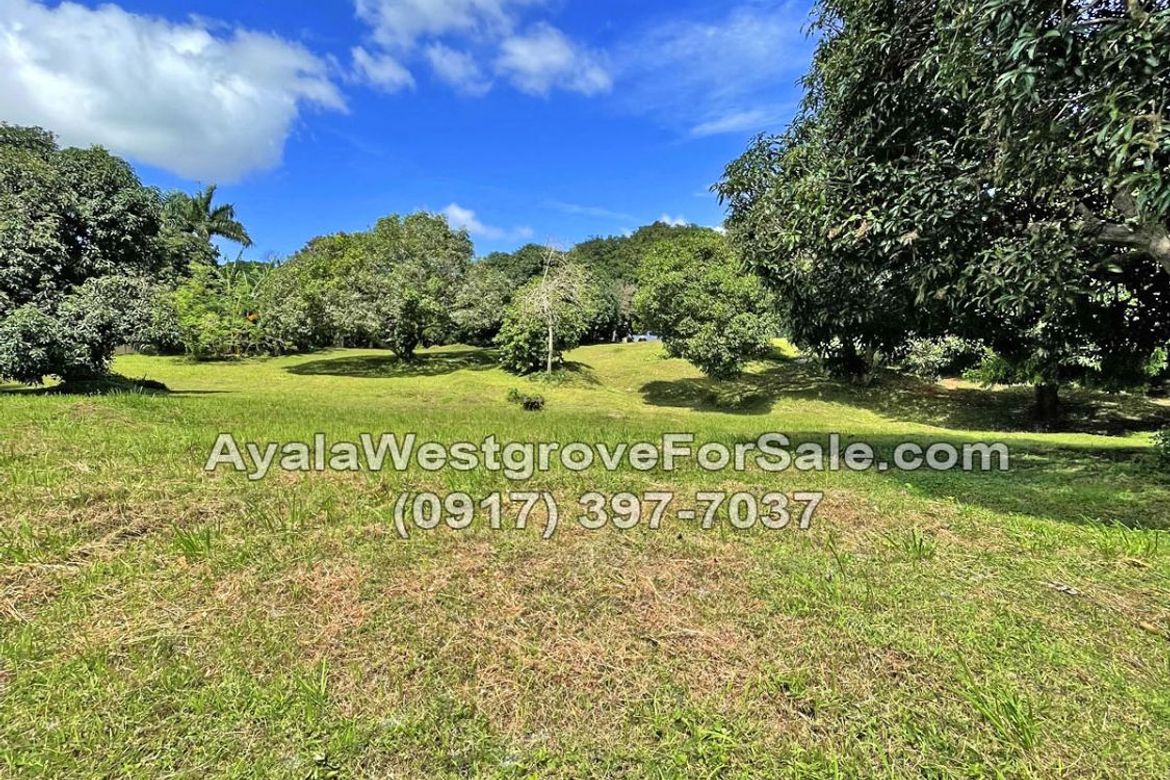 Land for Sale in Ayala Westgrove Heights, Inchican, Silang, Cavite – photo 3