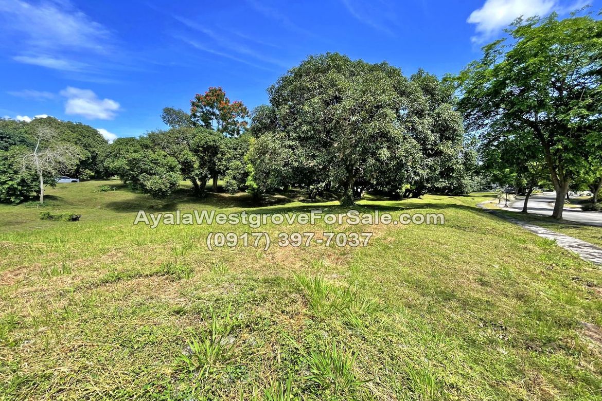 Land for Sale in Ayala Westgrove Heights, Inchican, Silang, Cavite – photo 4