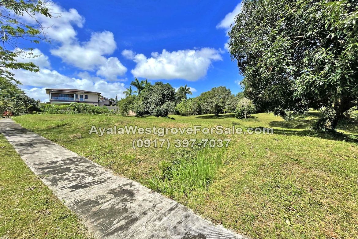 Land for Sale in Ayala Westgrove Heights, Inchican, Silang, Cavite – photo 6