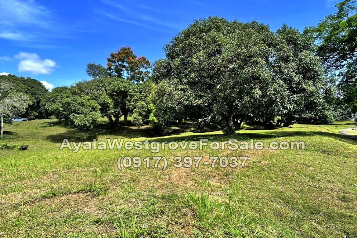 Land for Sale in Ayala Westgrove Heights, Inchican, Silang, Cavite – photo 7