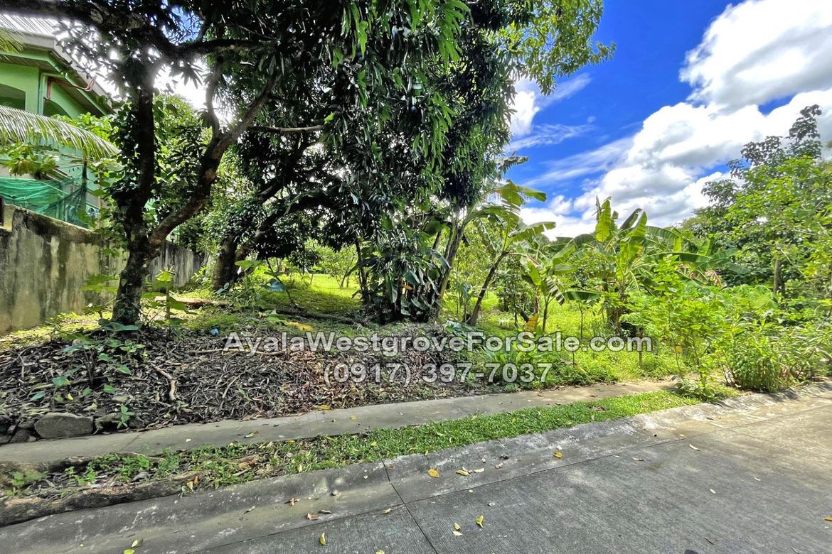 Land for Sale in Ayala Westgrove Heights, Inchican, Silang, Cavite – photo 4