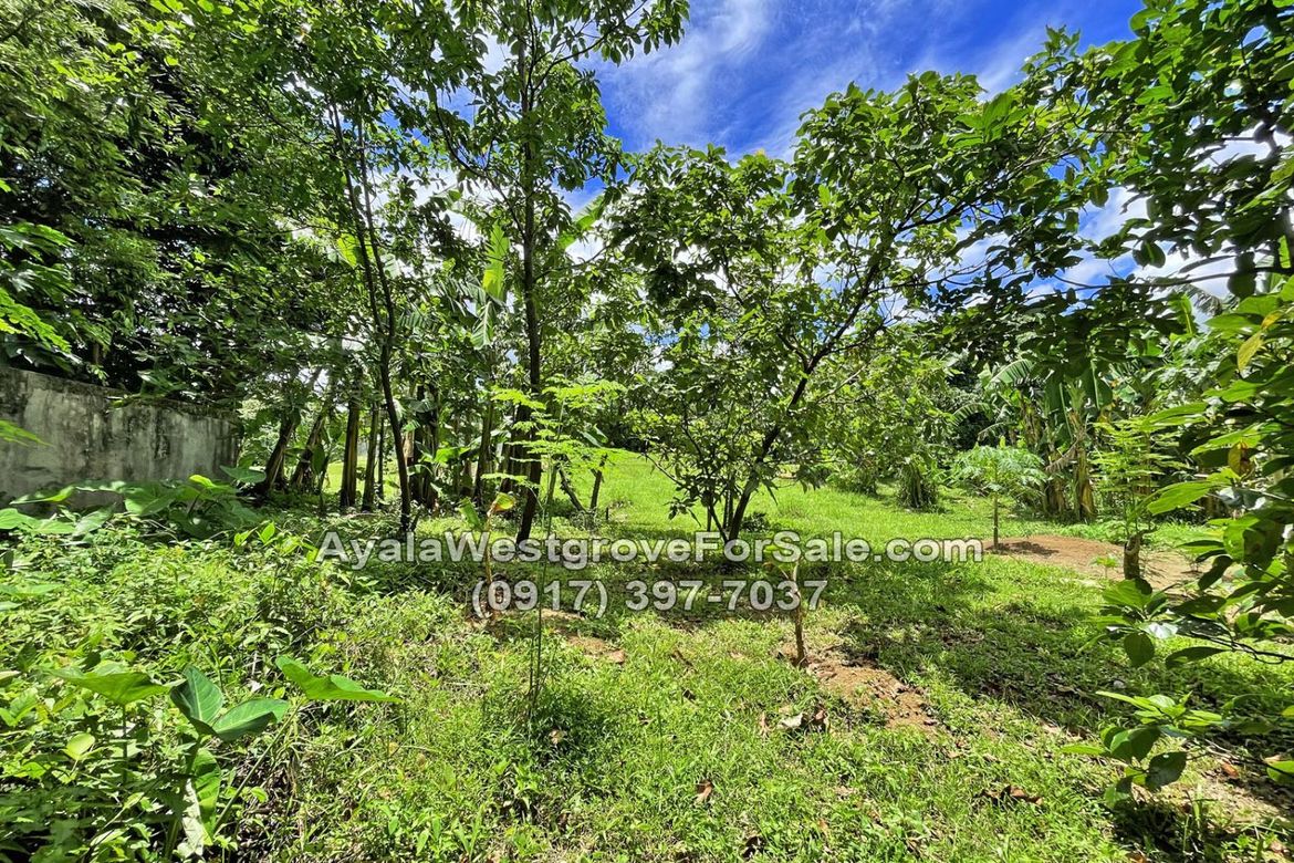 Land for Sale in Ayala Westgrove Heights, Inchican, Silang, Cavite – photo 6