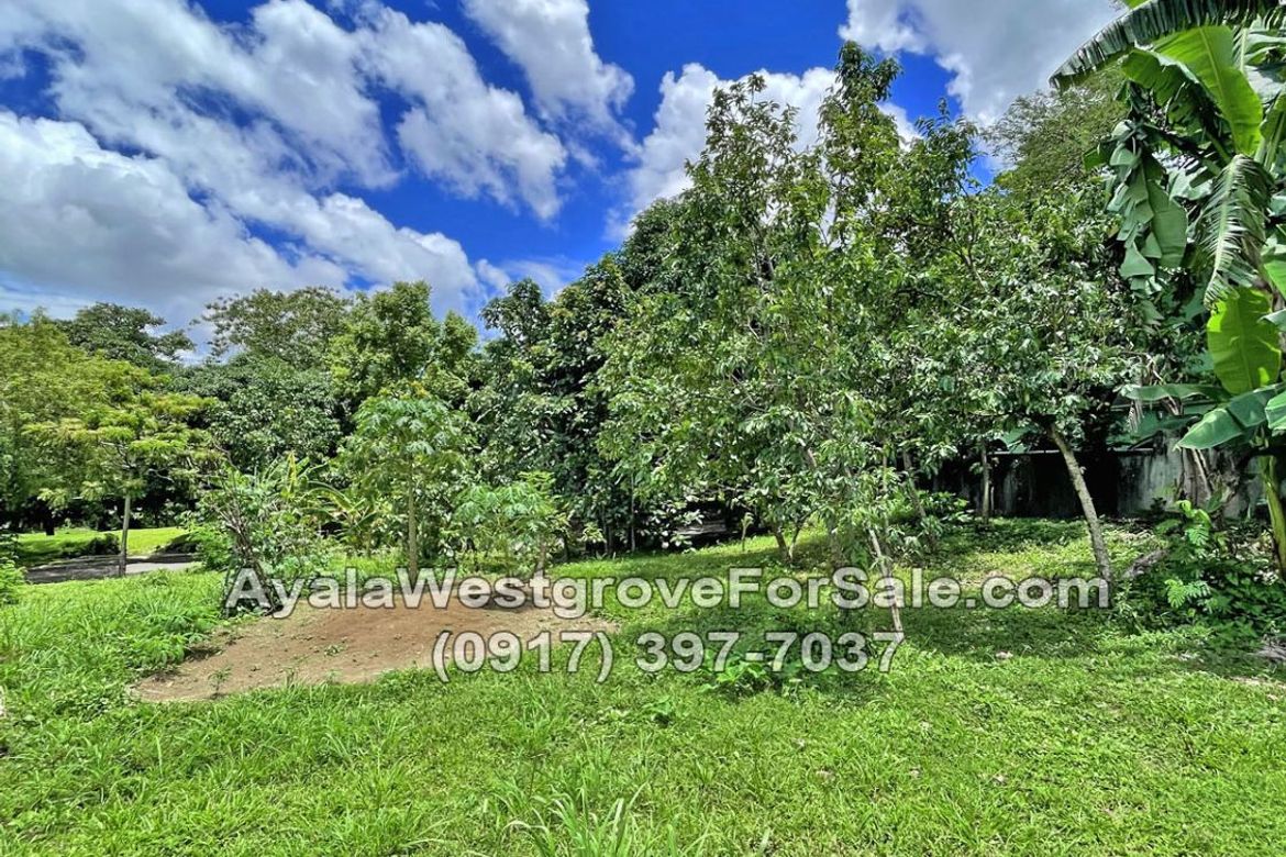 Land for Sale in Ayala Westgrove Heights, Inchican, Silang, Cavite – photo 7