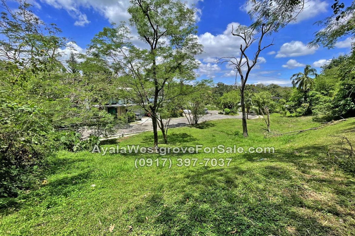Land for Sale in Ayala Westgrove Heights, Inchican, Silang, Cavite – photo 2