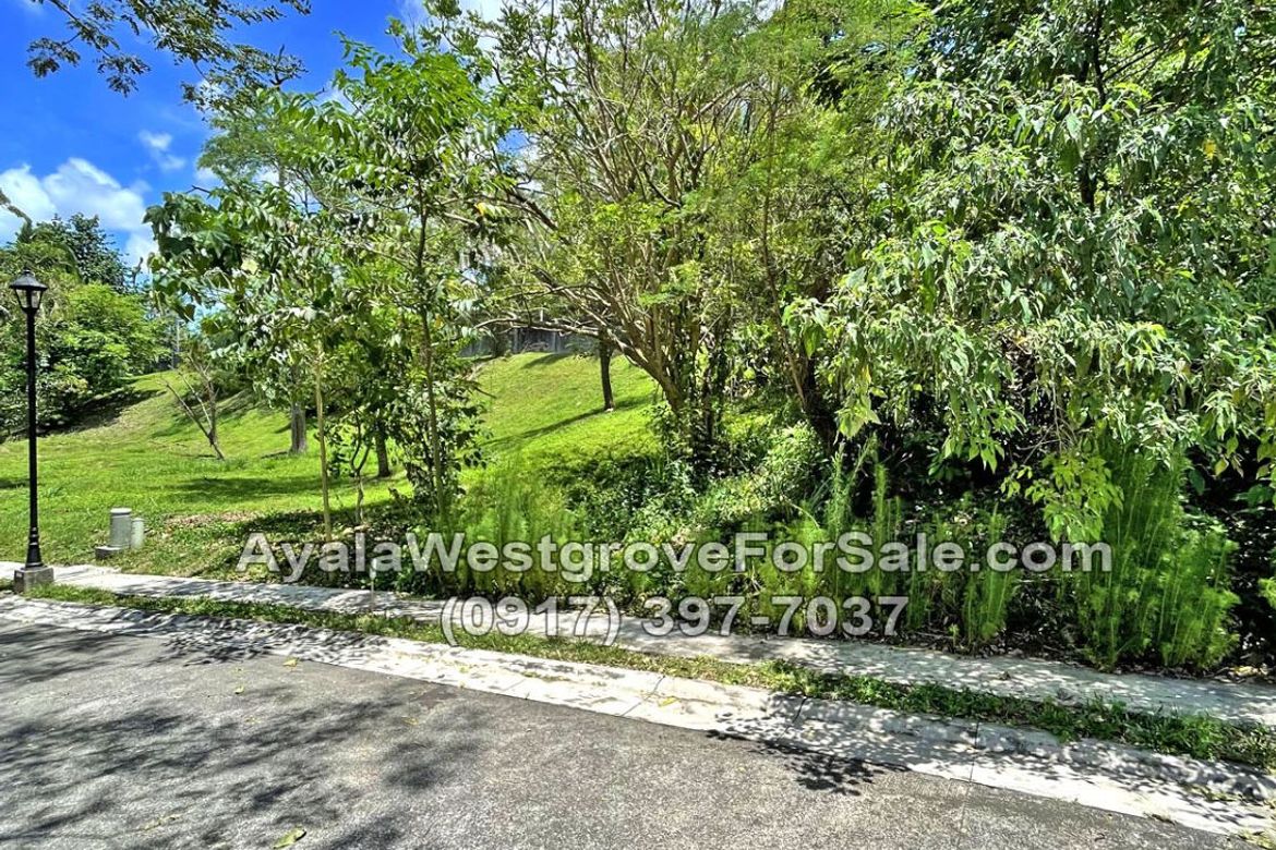 Land for Sale in Ayala Westgrove Heights, Inchican, Silang, Cavite – photo 3