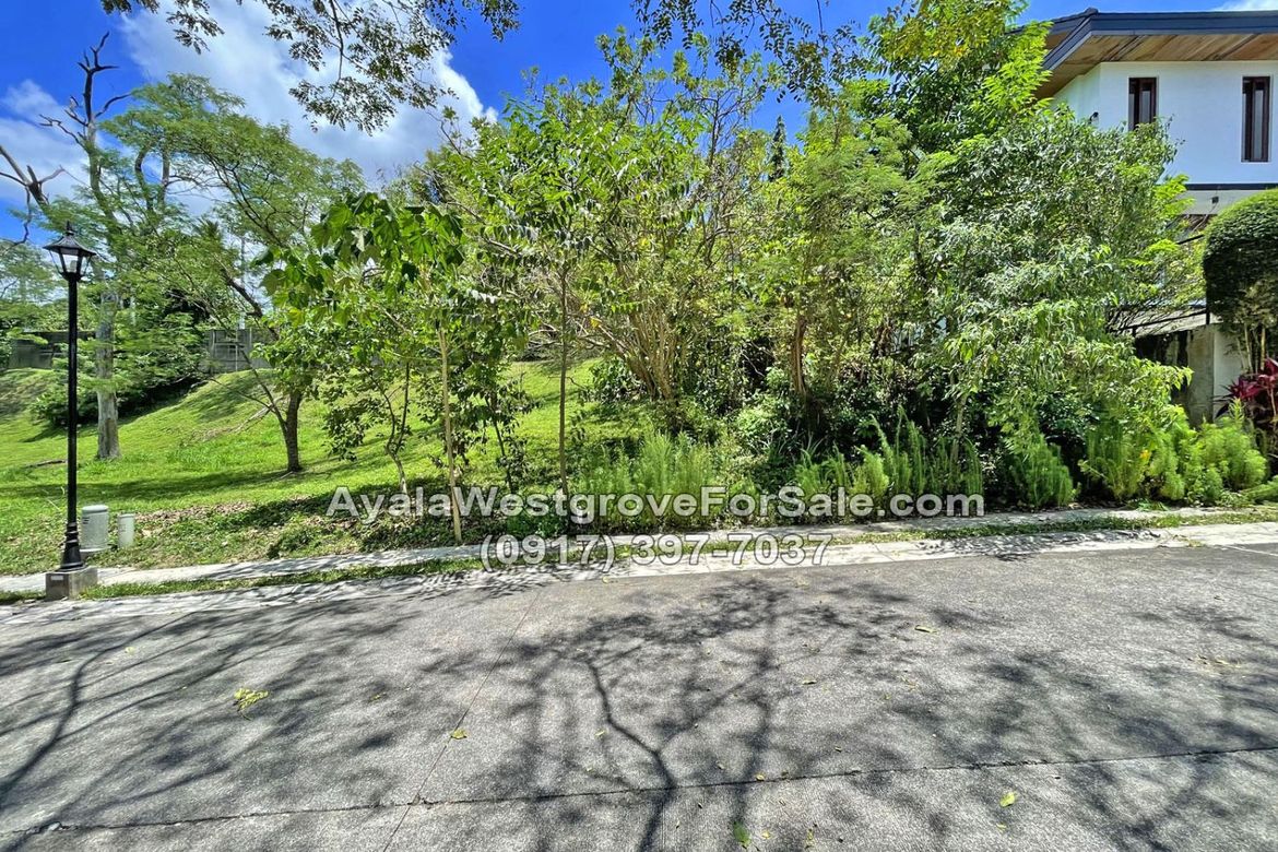 Land for Sale in Ayala Westgrove Heights, Inchican, Silang, Cavite – photo 5
