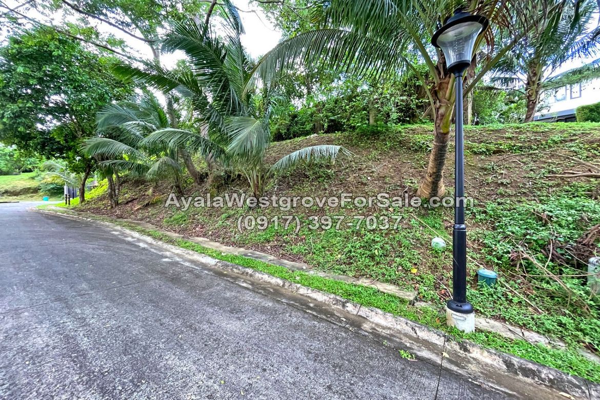 Land for Sale in Ayala Westgrove Heights, Inchican, Silang, Cavite