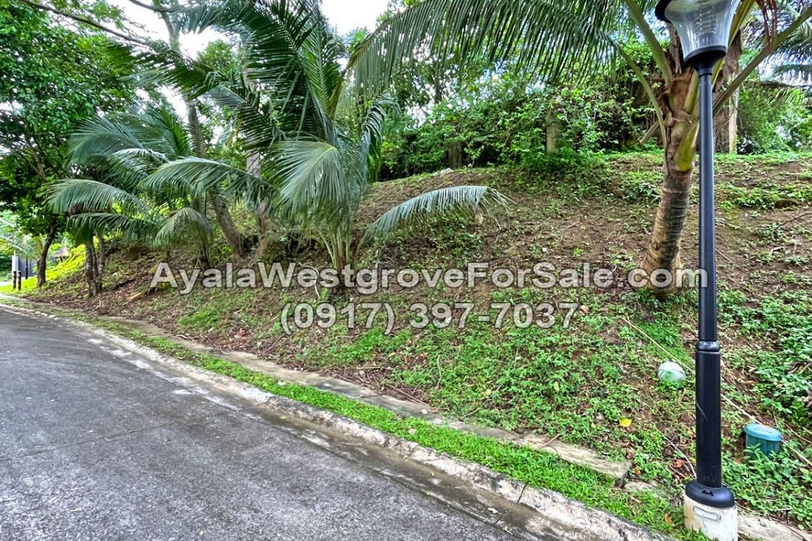 Land for Sale in Ayala Westgrove Heights, Inchican, Silang, Cavite – photo 2