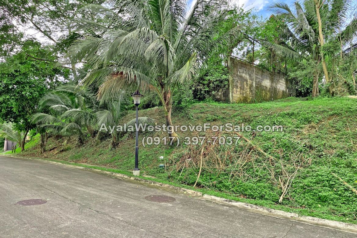 Land for Sale in Ayala Westgrove Heights, Inchican, Silang, Cavite – photo 5