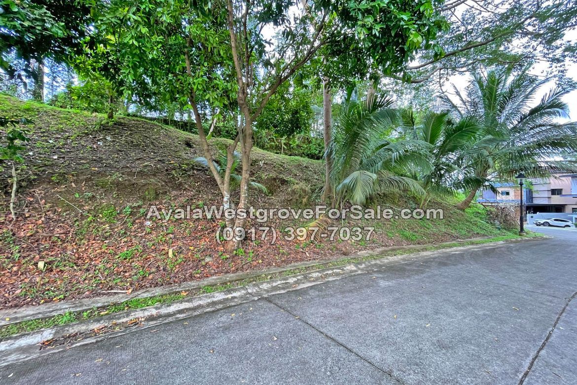 Land for Sale in Ayala Westgrove Heights, Inchican, Silang, Cavite – photo 8