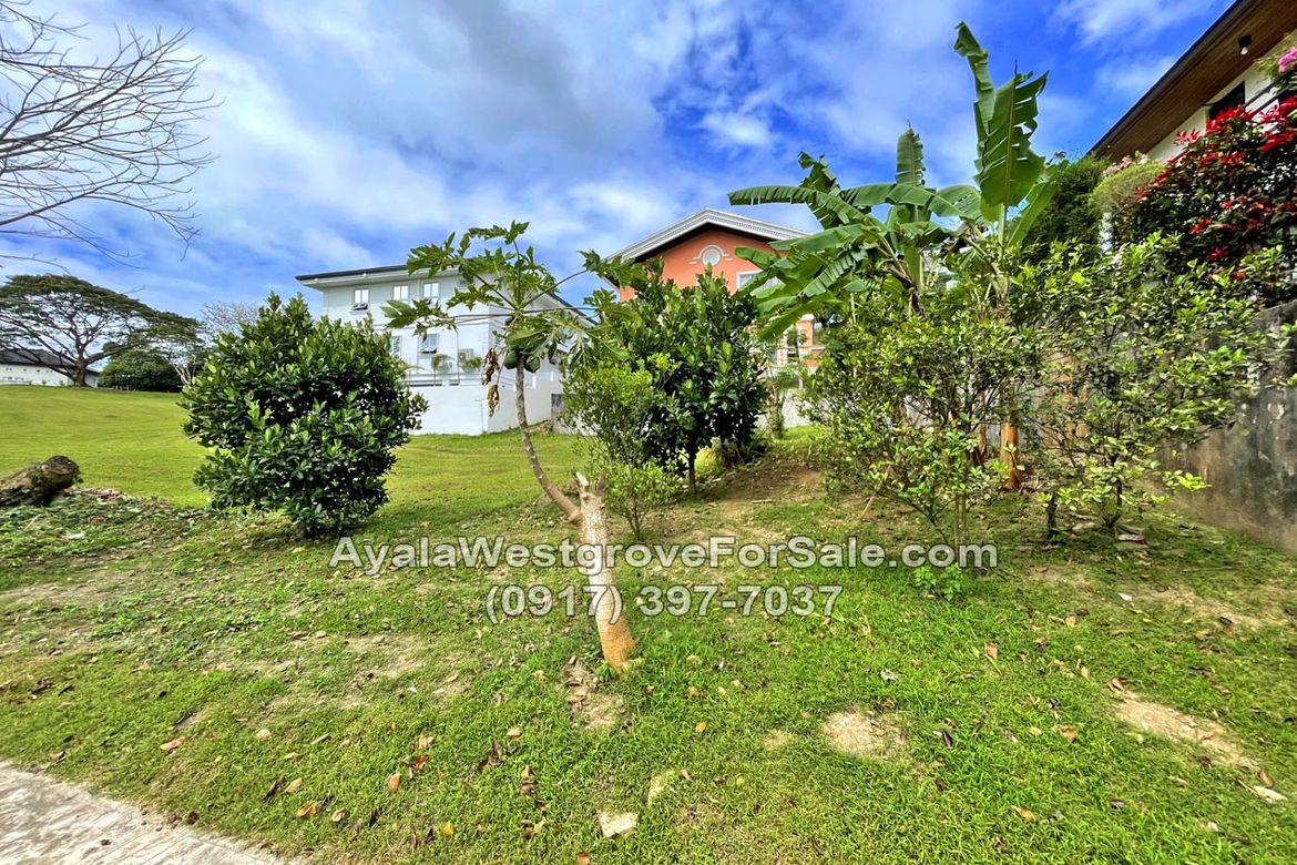 Land for Sale in Ayala Westgrove Heights, Inchican, Silang, Cavite – photo 6