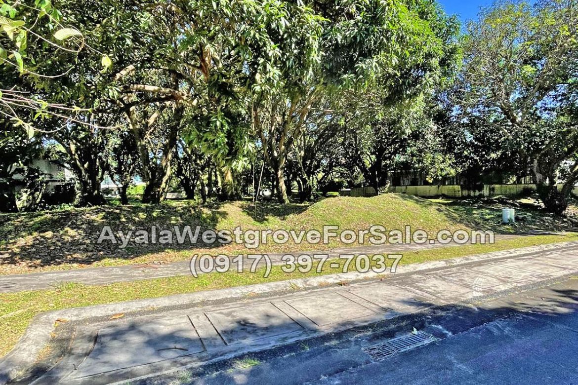 Land for Sale in Ayala Westgrove Heights, Inchican, Silang, Cavite