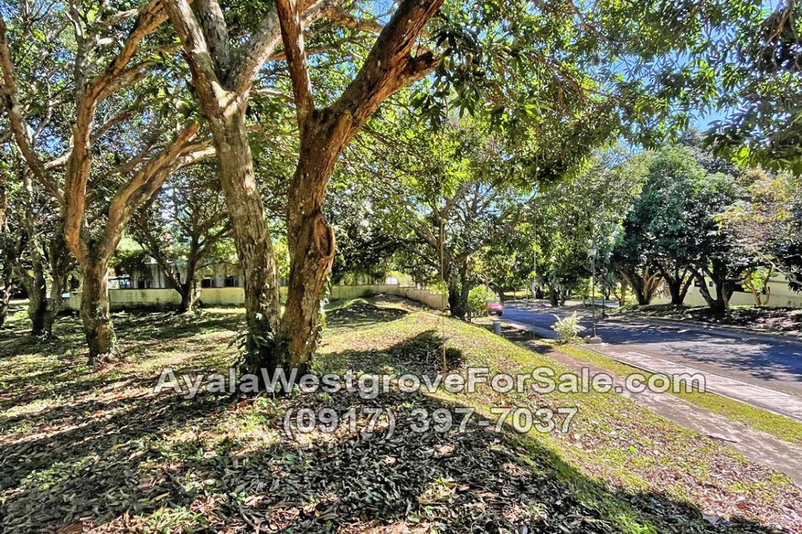 Land for Sale in Ayala Westgrove Heights, Inchican, Silang, Cavite – photo 3