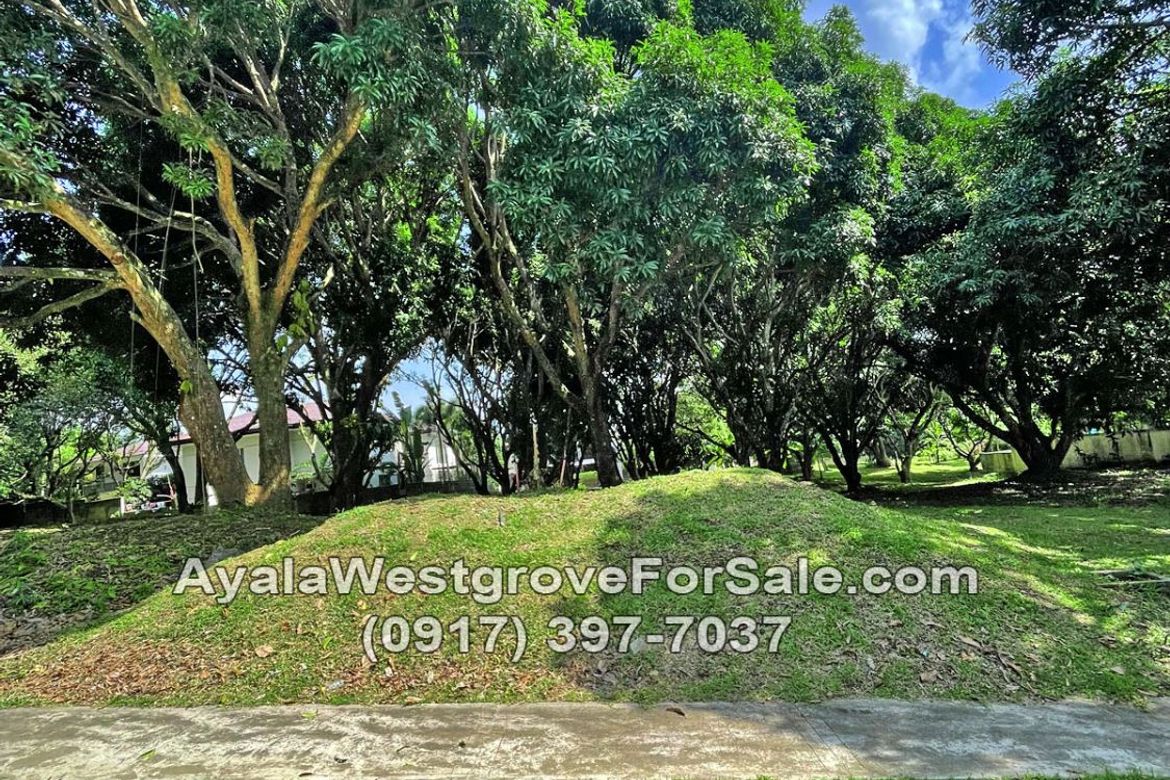 Land for Sale in Ayala Westgrove Heights, Inchican, Silang, Cavite – photo 4