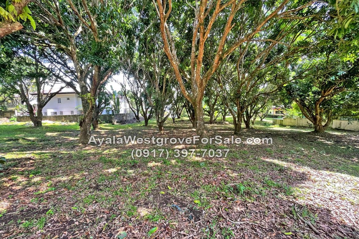 Land for Sale in Ayala Westgrove Heights, Inchican, Silang, Cavite – photo 5