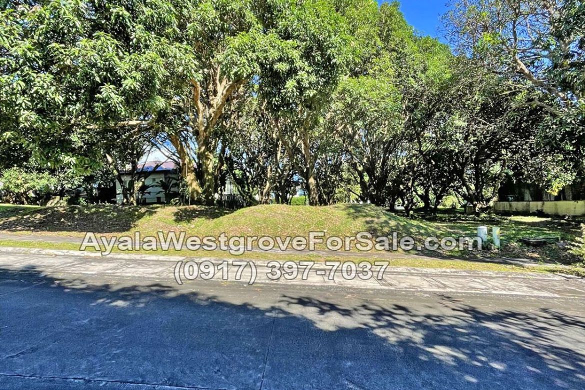 Land for Sale in Ayala Westgrove Heights, Inchican, Silang, Cavite – photo 7