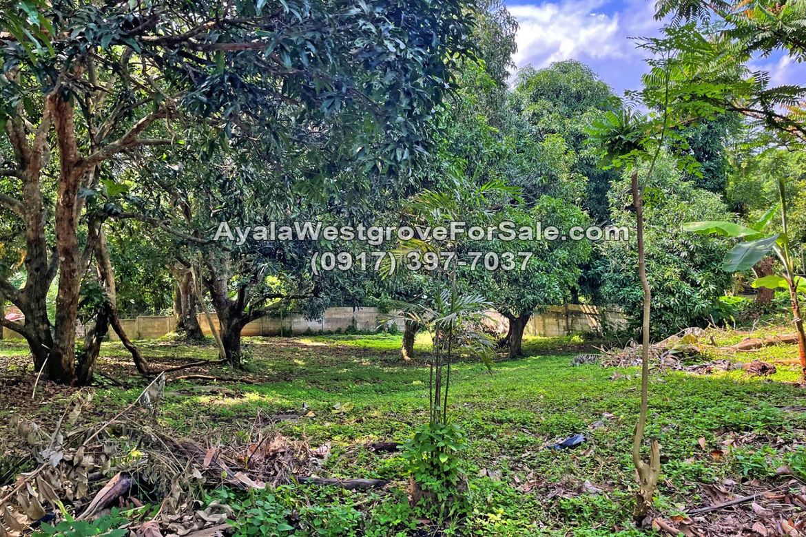Land for Sale in Ayala Westgrove Heights, Inchican, Silang, Cavite