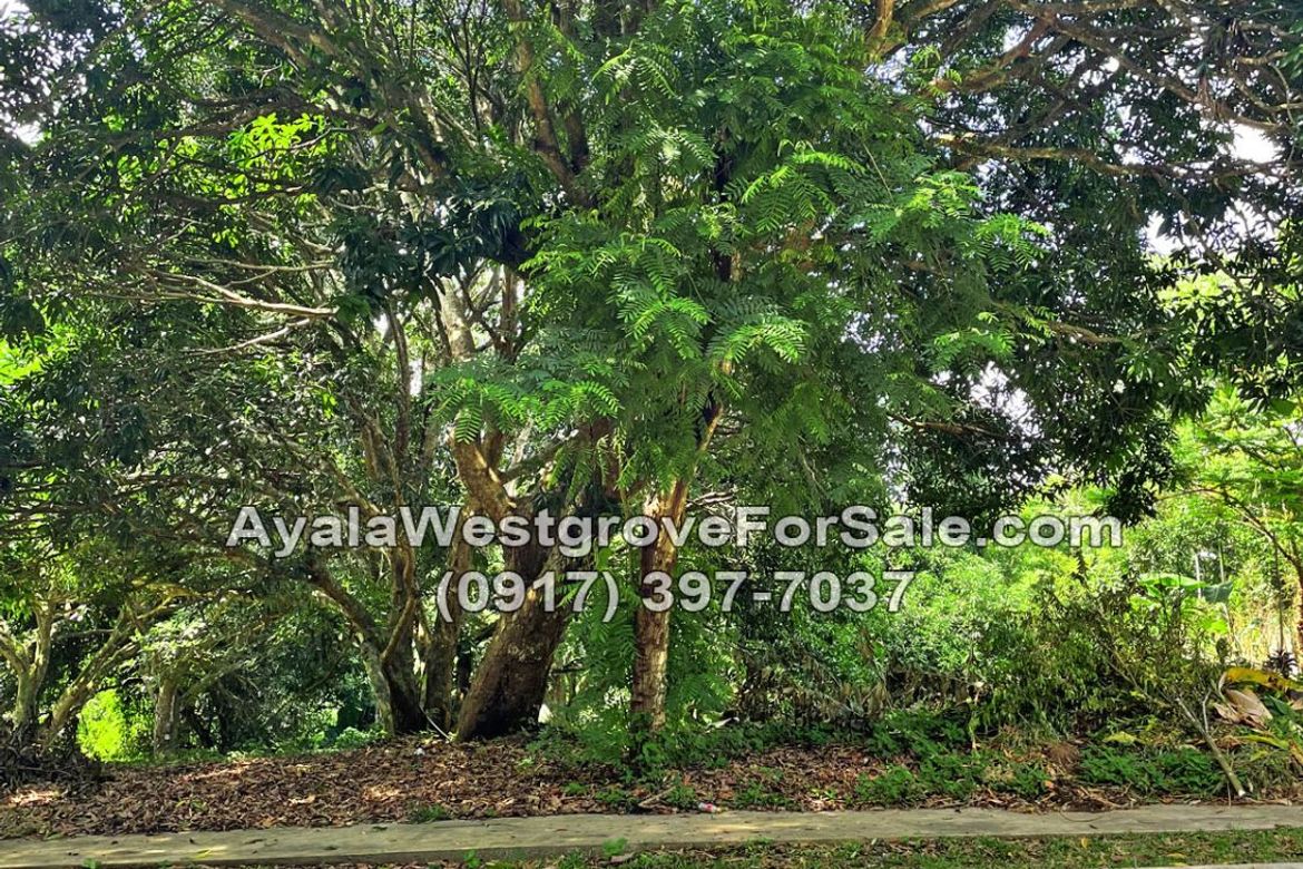 Land for Sale in Ayala Westgrove Heights, Inchican, Silang, Cavite – photo 3