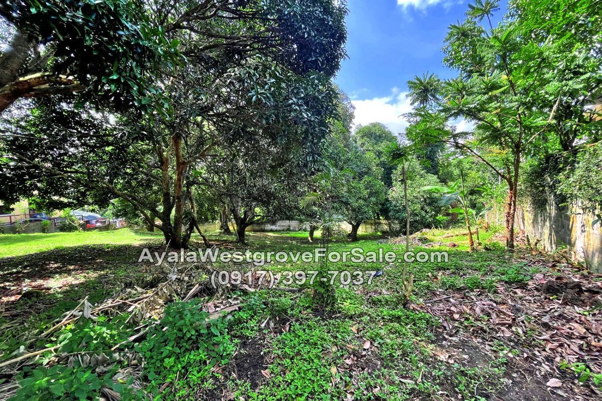 Land for Sale in Ayala Westgrove Heights, Inchican, Silang, Cavite – photo 5