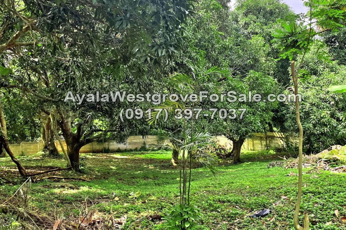 Land for Sale in Ayala Westgrove Heights, Inchican, Silang, Cavite – photo 6