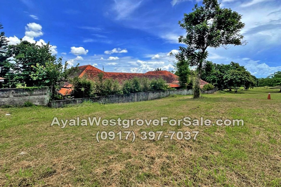 Land for Sale in Ayala Westgrove Heights, Inchican, Silang, Cavite – photo 2