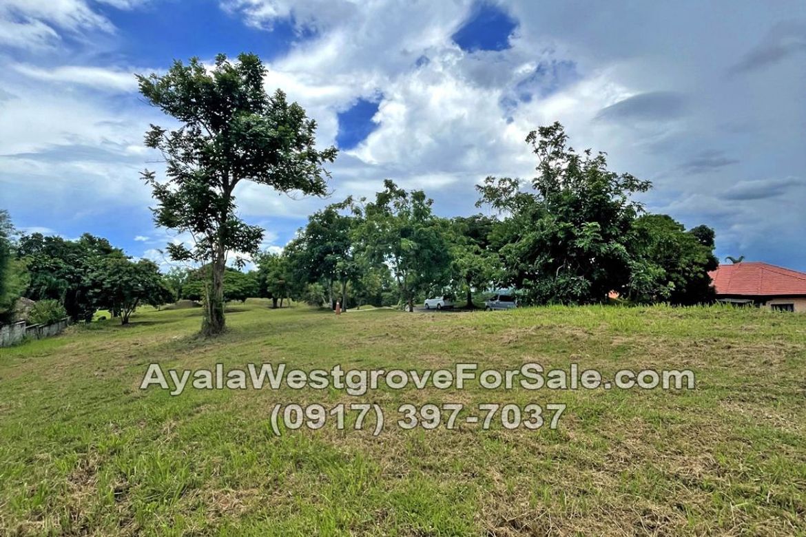 Land for Sale in Ayala Westgrove Heights, Inchican, Silang, Cavite – photo 4