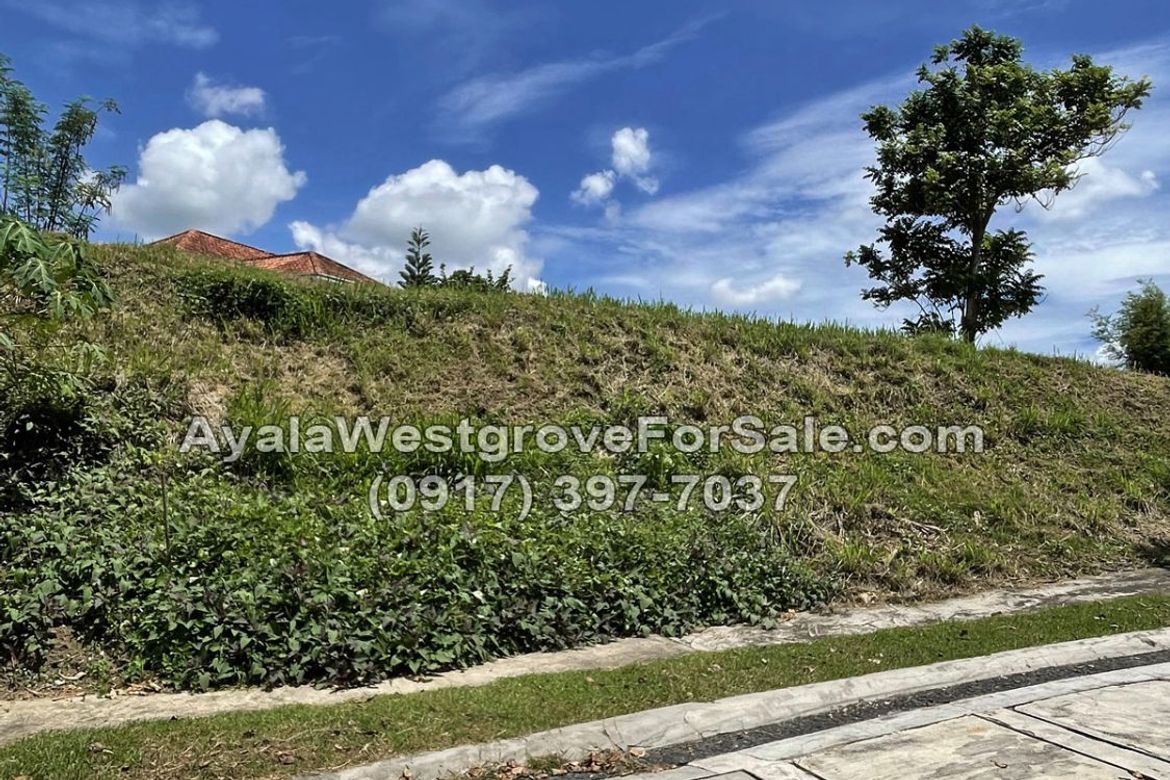 Land for Sale in Ayala Westgrove Heights, Inchican, Silang, Cavite – photo 6