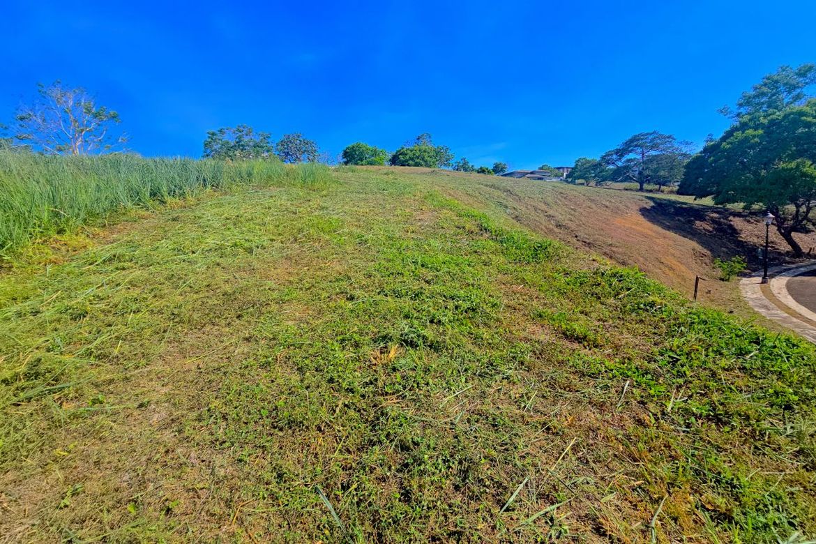 Land for Sale in Ayala Westgrove Heights, Inchican, Silang, Cavite – photo 8