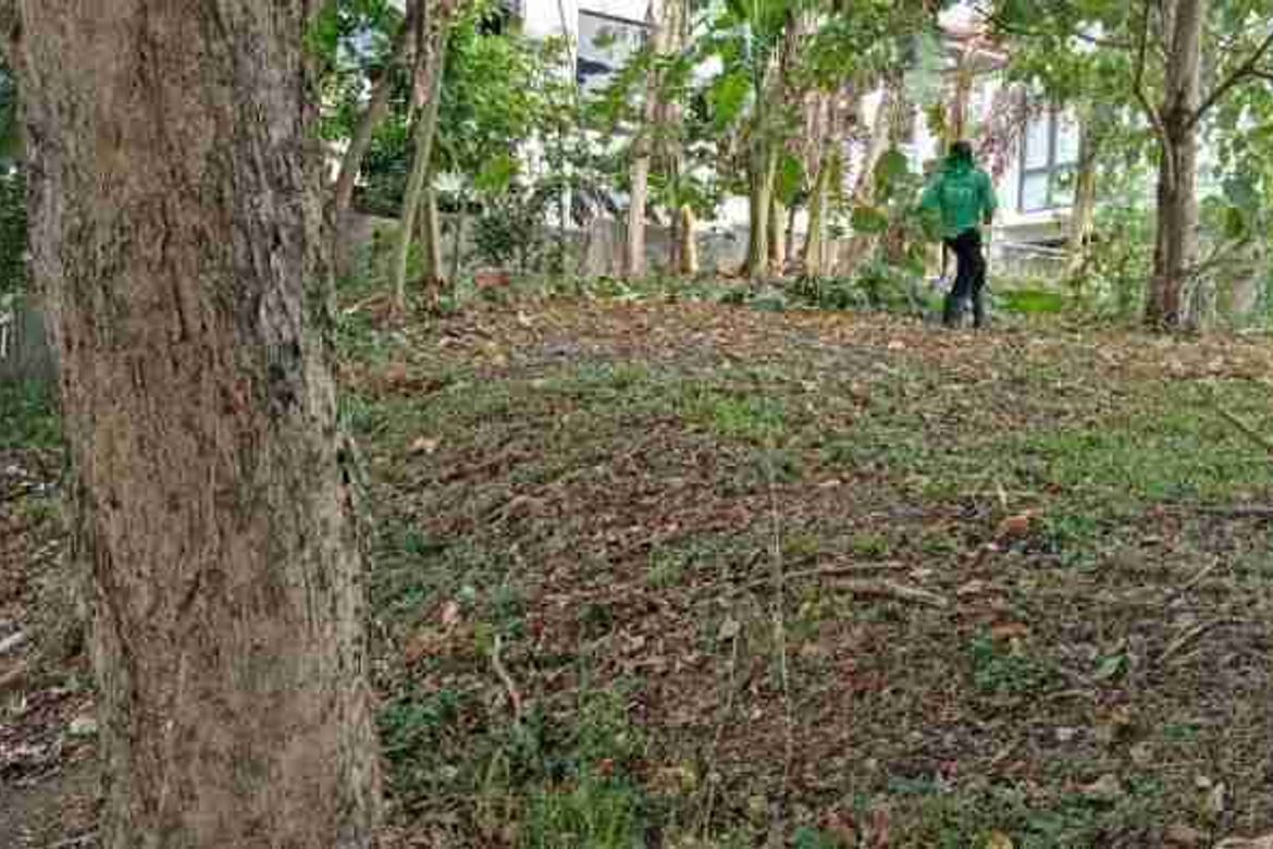 Land for Sale in Ayala Westgrove Heights, Inchican, Silang, Cavite – photo 3