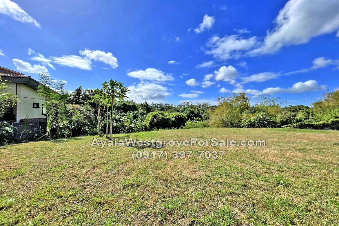 Land for Sale in Ayala Westgrove Heights, Inchican, Silang, Cavite – photo 2